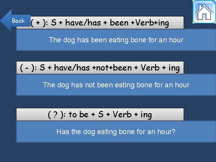 Back ( + ): S + have/has + been +Verb+ing The dog has been