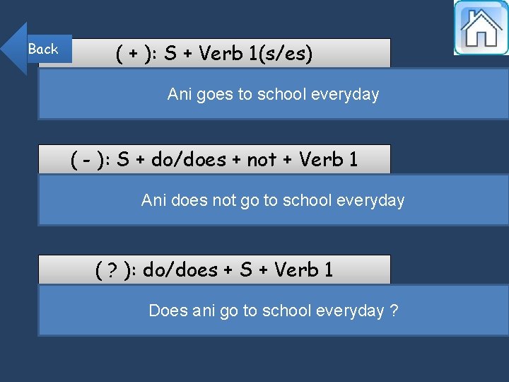 Back ( + ): S + Verb 1(s/es) Ani goes to school everyday (