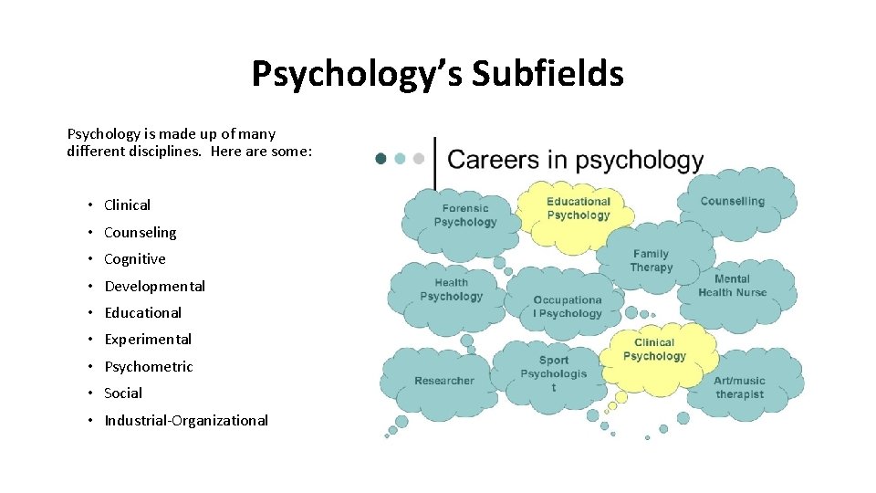 Psychology’s Subfields Psychology is made up of many different disciplines. Here are some: •