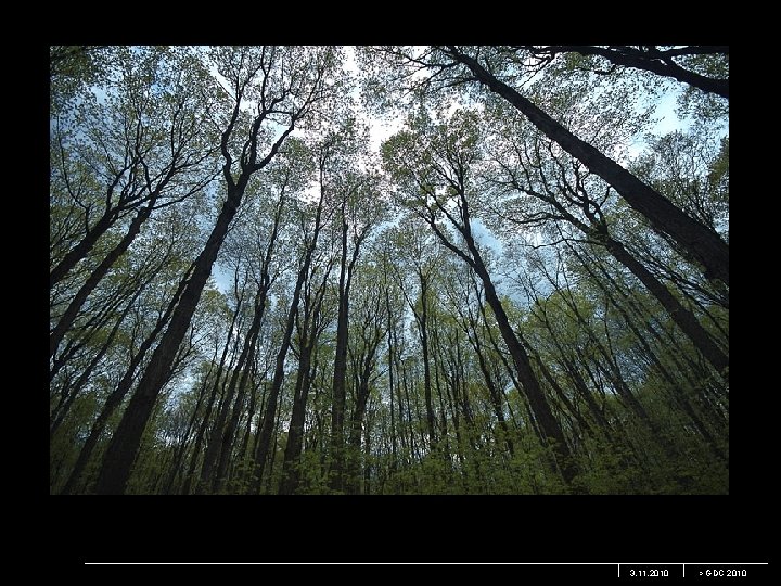 3. 11. 2010 > GDC 2010 