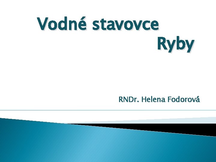 Vodné stavovce Ryby RNDr. Helena Fodorová 