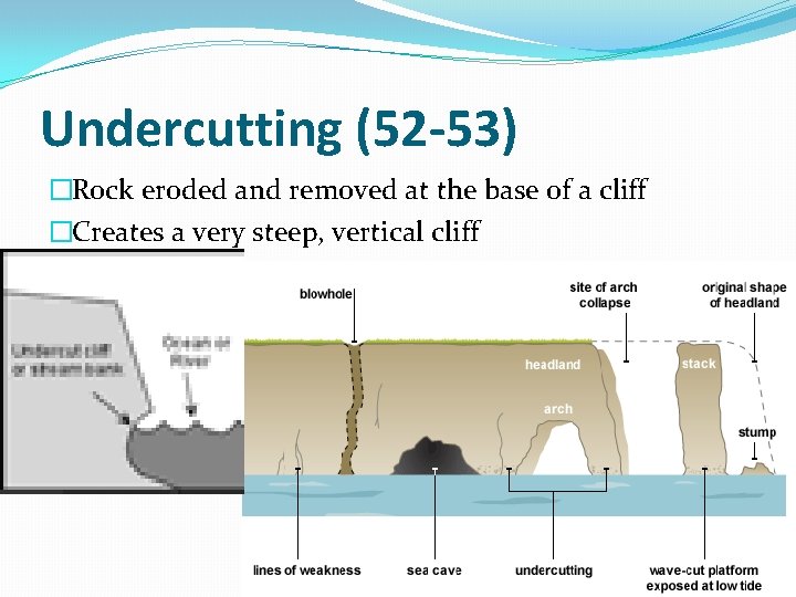 Undercutting (52 -53) �Rock eroded and removed at the base of a cliff �Creates