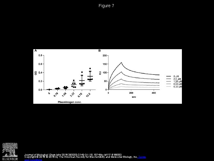 Figure 7 Journal of Biological Chemistry 2018 293203 -214 DOI: (10. 1074/jbc. M 117.