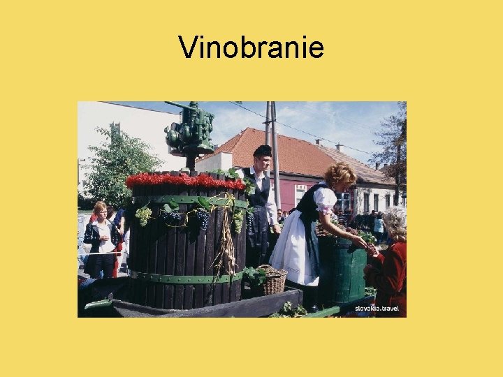 Vinobranie 