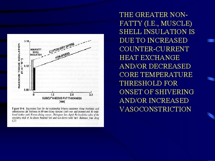 THE GREATER NONFATTY (I. E. , MUSCLE) SHELL INSULATION IS DUE TO INCREASED COUNTER-CURRENT