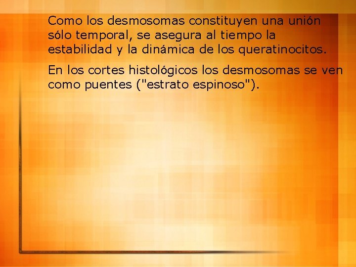 Como los desmosomas constituyen una unión sólo temporal, se asegura al tiempo la estabilidad