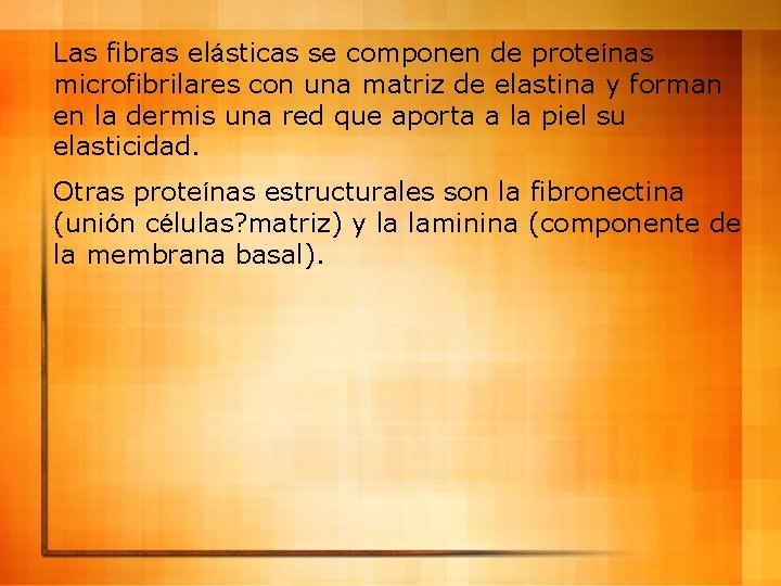 Las fibras elásticas se componen de proteínas microfibrilares con una matriz de elastina y