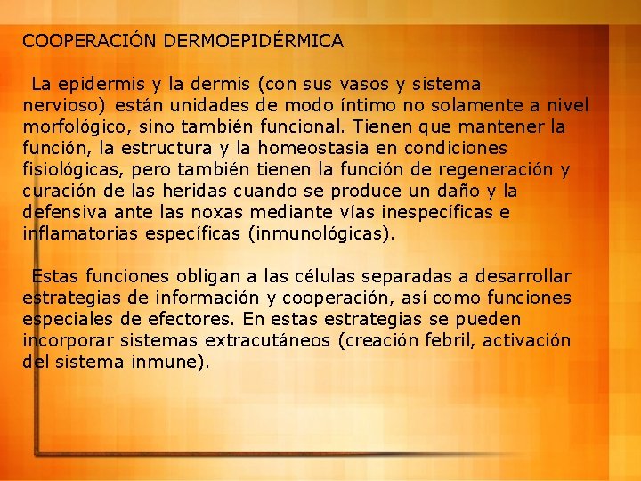 COOPERACIÓN DERMOEPIDÉRMICA La epidermis y la dermis (con sus vasos y sistema nervioso) están