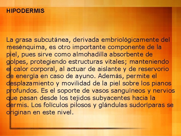 HIPODERMIS La grasa subcutánea, derivada embriológicamente del mesénquima, es otro importante componente de la