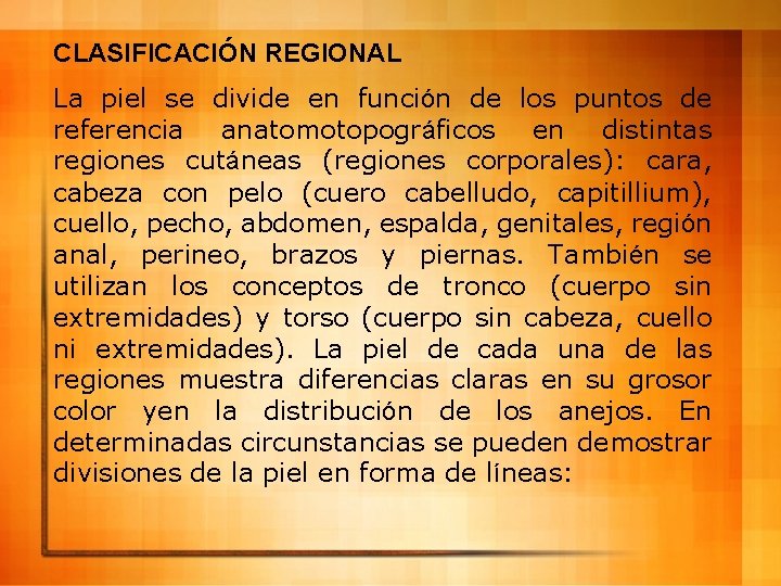 CLASIFICACIÓN REGIONAL La piel se divide en función de los puntos de referencia anatomotopográficos