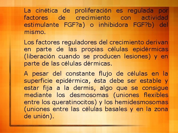 La cinética de proliferación es regulada por factores de crecimiento con actividad estimulante FGF?