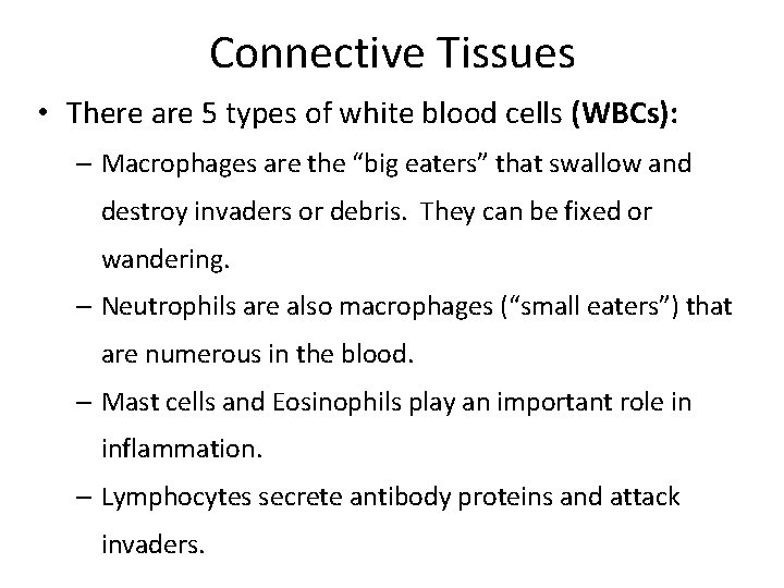 Connective Tissues • There are 5 types of white blood cells (WBCs): – Macrophages