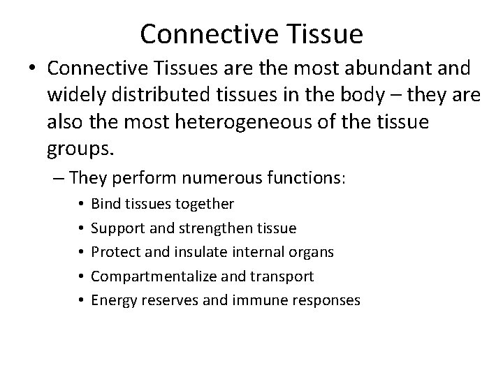 Connective Tissue • Connective Tissues are the most abundant and widely distributed tissues in