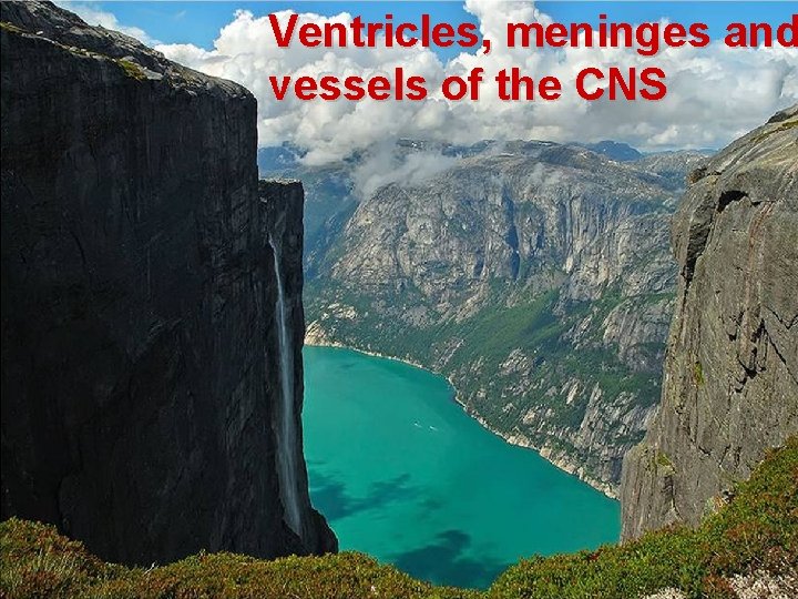 Ventricles, meninges and vessels of the CNS 