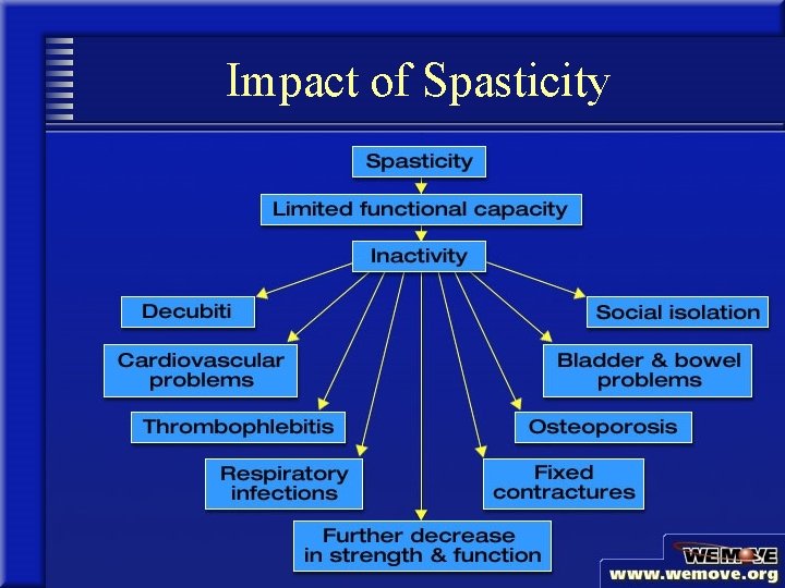 Impact of Spasticity 