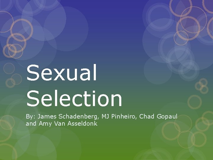 Sexual Selection By: James Schadenberg, MJ Pinheiro, Chad Gopaul and Amy Van Asseldonk 