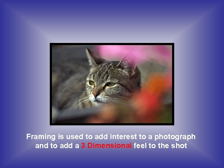 Framing is used to add interest to a photograph and to add a 3