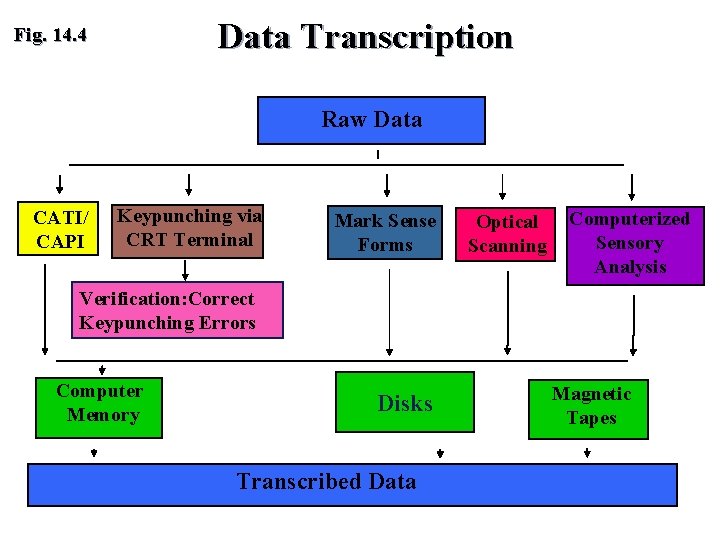 Data Transcription Fig. 14. 4 Raw Data CATI/ CAPI Keypunching via CRT Terminal Mark