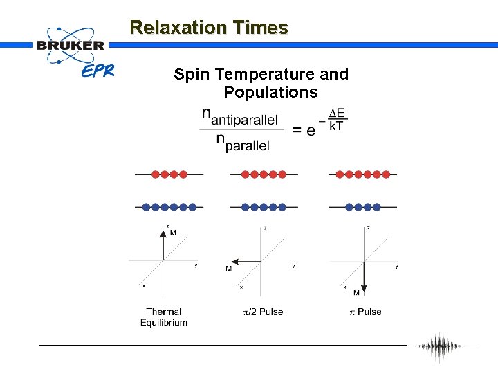 Relaxation Times Spin Temperature and Populations 