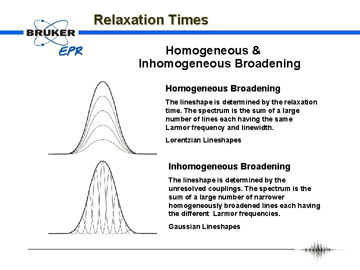 Relaxation Times Homogeneous & Inhomogeneous Broadening Homogeneous Broadening The lineshape is determined by the