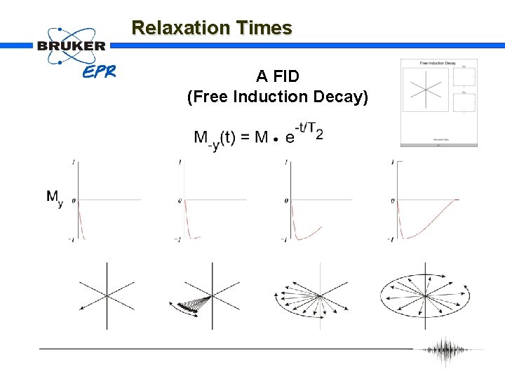 Relaxation Times A FID (Free Induction Decay) 