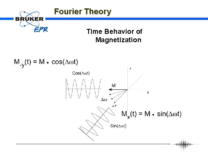 Fourier Theory Time Behavior of Magnetization 