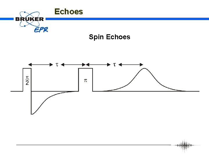 Echoes Spin Echoes 