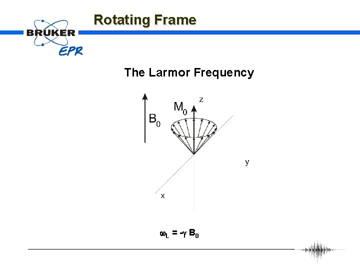 Rotating Frame The Larmor Frequency w. L = -g B 0 