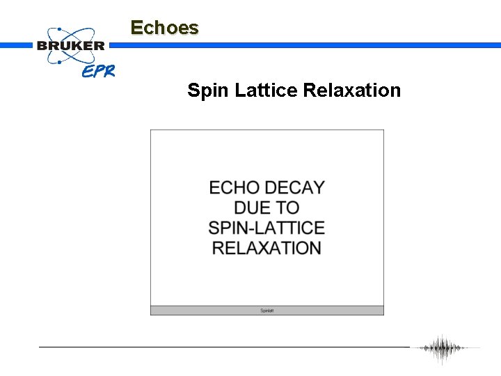 Echoes Spin Lattice Relaxation 