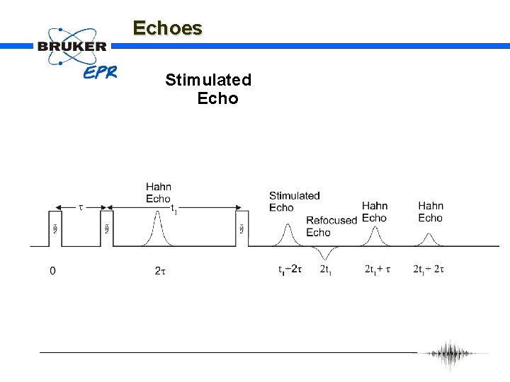 Echoes Stimulated Echo 