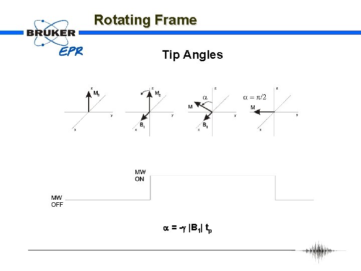 Rotating Frame Tip Angles a = -g |B 1| tp 