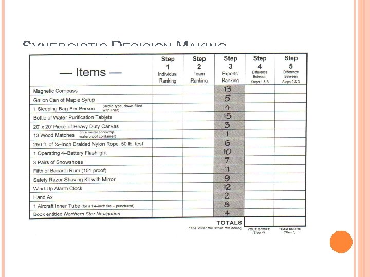 SYNERGISTIC DECISION MAKING 