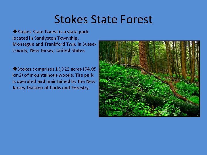 Stokes State Forest u. Stokes State Forest is a state park located in Sandyston