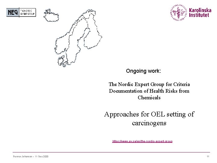 Ongoing work: The Nordic Expert Group for Criteria Documentation of Health Risks from Chemicals