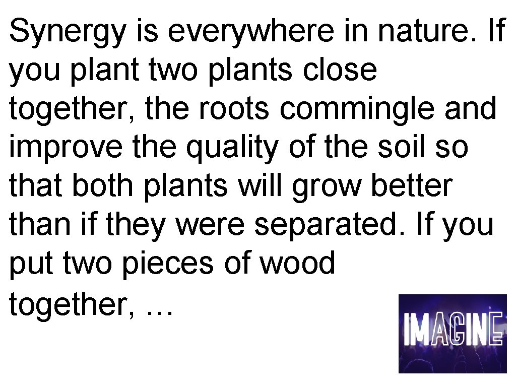 Synergy is everywhere in nature. If you plant two plants close together, the roots