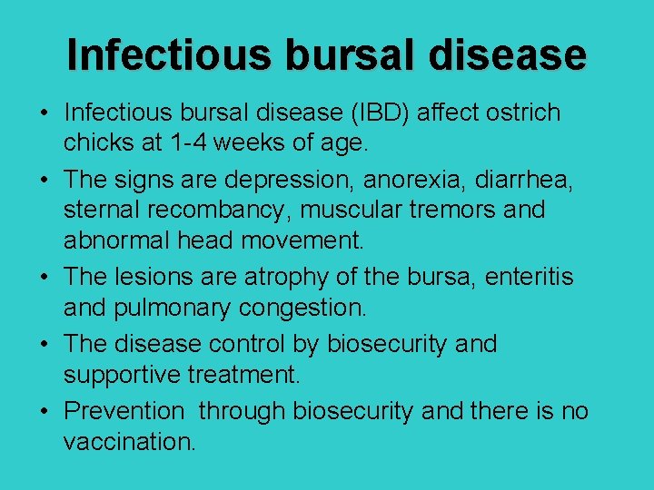 Infectious bursal disease • Infectious bursal disease (IBD) affect ostrich chicks at 1 -4