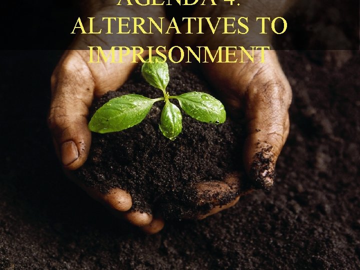 AGENDA 4: ALTERNATIVES TO IMPRISONMENT Alternatives to Imprisonment Agenda 4 