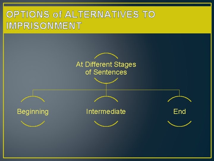 OPTIONS of ALTERNATIVES TO IMPRISONMENT At Different Stages of Sentences Beginning Intermediate End 