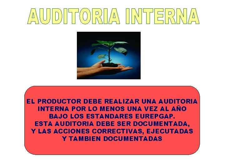 EL PRODUCTOR DEBE REALIZAR UNA AUDITORIA INTERNA POR LO MENOS UNA VEZ AL AÑO