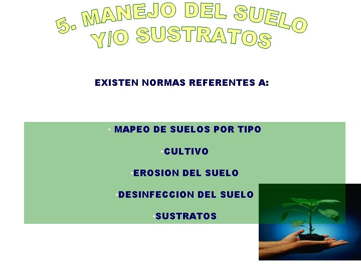 EXISTEN NORMAS REFERENTES A: • MAPEO DE SUELOS POR TIPO • CULTIVO • EROSION