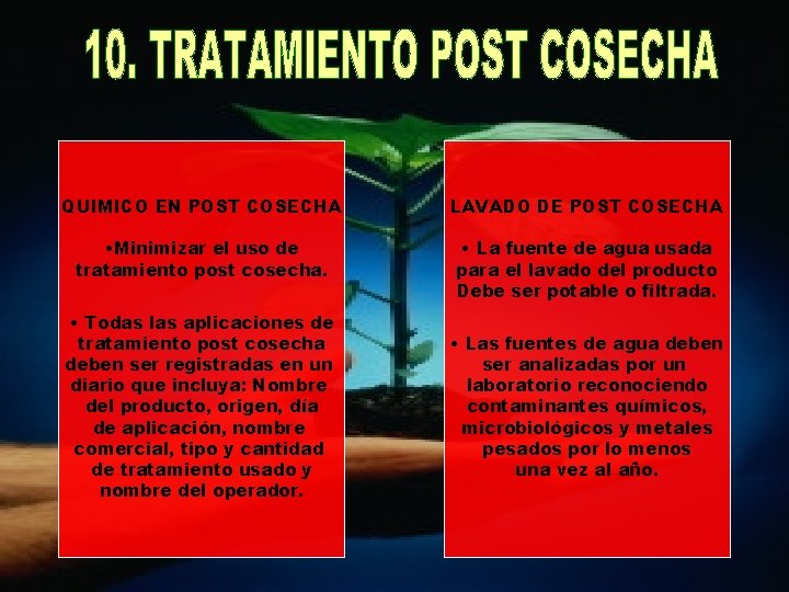 QUIMICO EN POST COSECHA LAVADO DE POST COSECHA • Minimizar el uso de tratamiento