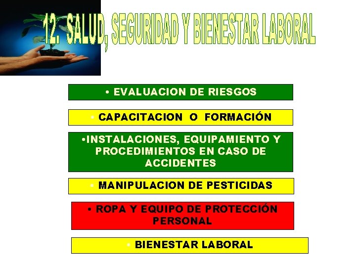  • EVALUACION DE RIESGOS • CAPACITACION O FORMACIÓN • INSTALACIONES, EQUIPAMIENTO Y PROCEDIMIENTOS