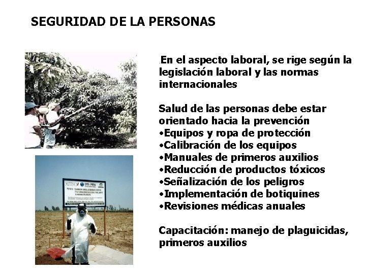 SEGURIDAD DE LA PERSONAS En el aspecto laboral, se rige según la legislación laboral