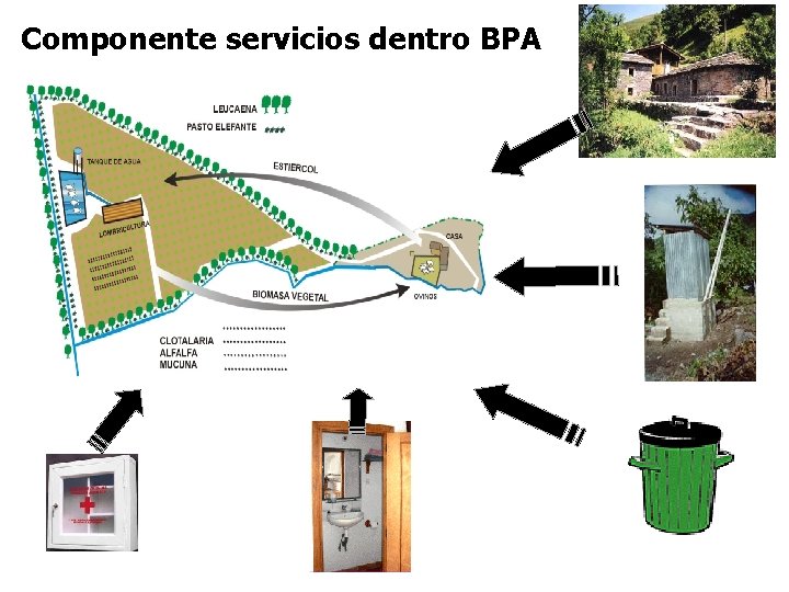 Componente servicios dentro BPA 