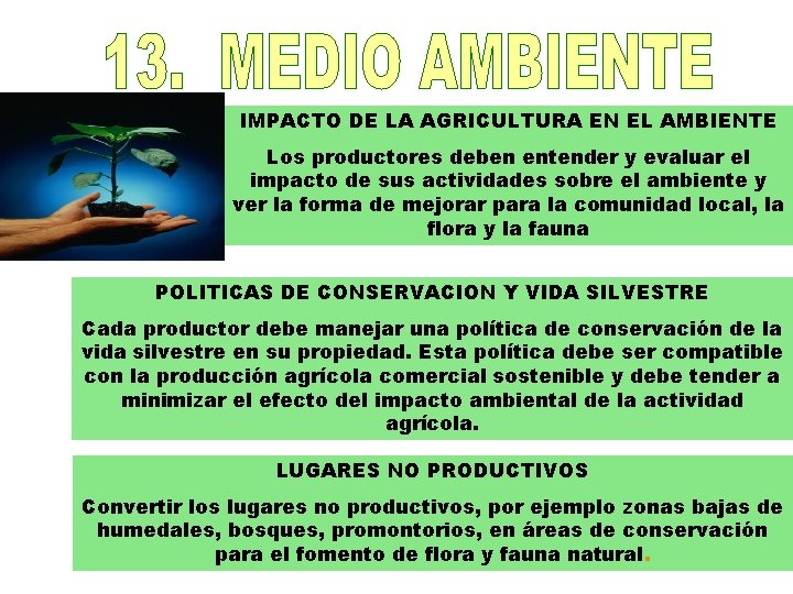 IMPACTO DE LA AGRICULTURA EN EL AMBIENTE Los productores deben entender y evaluar el