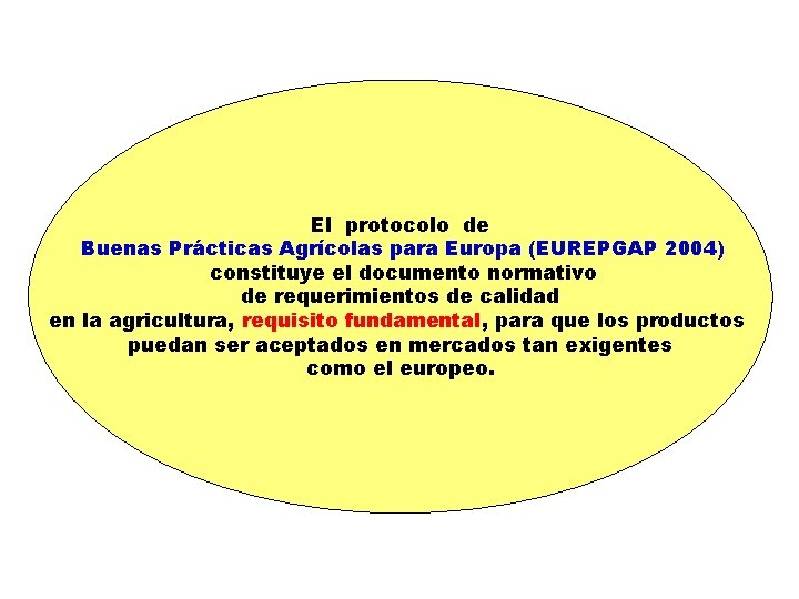 El protocolo de Buenas Prácticas Agrícolas para Europa (EUREPGAP 2004) constituye el documento normativo