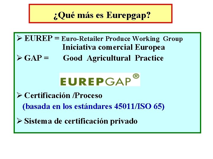 ¿Qué más es Eurepgap? Ø EUREP = Euro-Retailer Produce Working Group Iniciativa comercial Europea