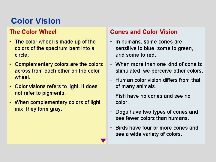 Color Vision The Color Wheel Cones and Color Vision • The color wheel is