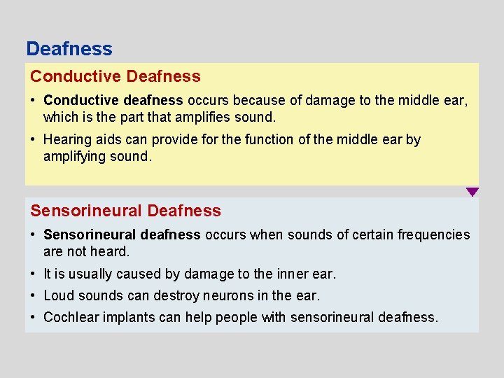 Deafness Conductive Deafness • Conductive deafness occurs because of damage to the middle ear,