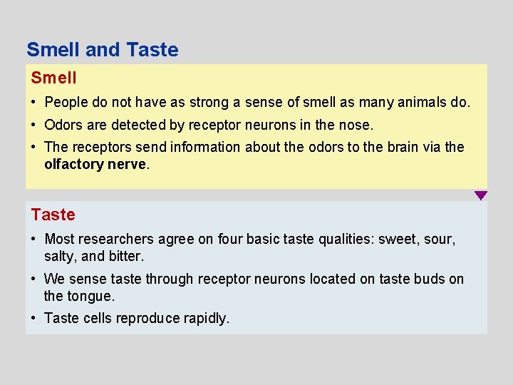 Smell and Taste Smell • People do not have as strong a sense of